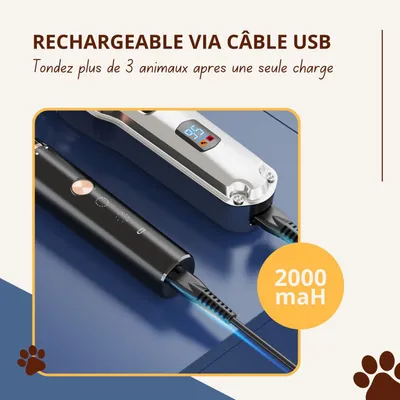 Tondeuse pour pattes et pelage Oneisall RFC-676+P20