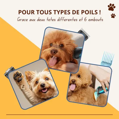 Oneisall DTJ-002 - Kit de toilettage pour chiens et chats - Rechargeable