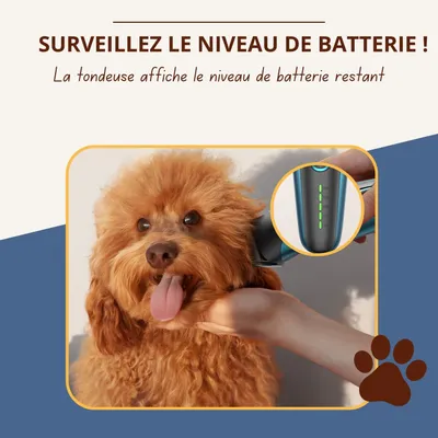 Oneisall DTJ-002 - Kit de toilettage pour chiens et chats - Rechargeable