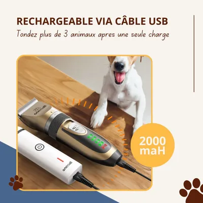 Tondeuse Oneisall X2+N5 - Kit de toilettage pour chien