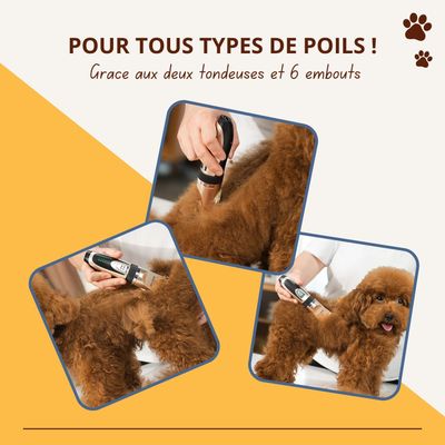 Tondeuse Oneisall X2+N5 - Kit de toilettage pour chien