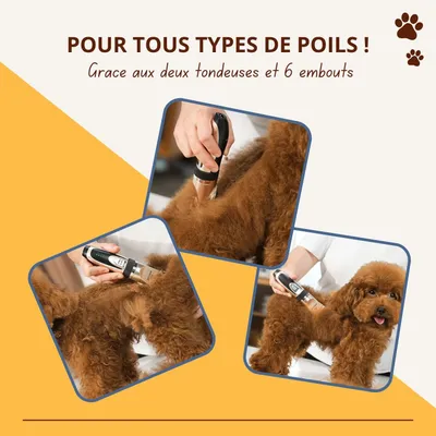 Tondeuse Oneisall X2+N5 - Kit de toilettage pour chien