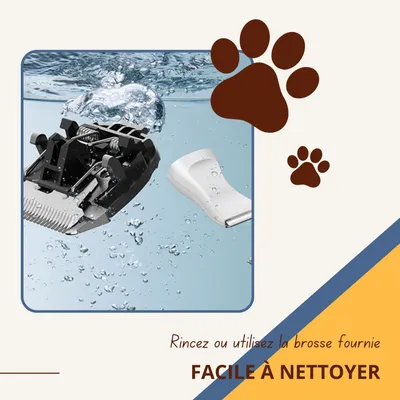 Tondeuse Oneisall X2+N5 - Kit de toilettage pour chien