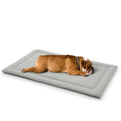 Woodek Design Couverture pour chien Teddy