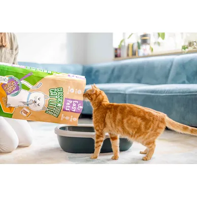 Easypets Litière Pellets Bois 40L – Naturelle, Sans Odeur, Zéro Poussière