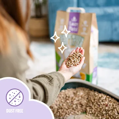 Easypets Litière Pellets Bois 40L – Naturelle, Sans Odeur, Zéro Poussière