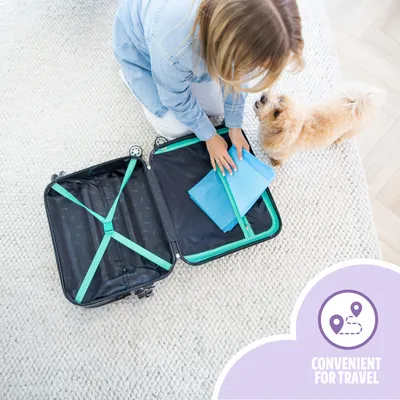 Easypets Tapis D'entraînement Puppy 105 pièces