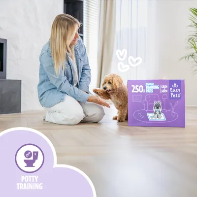 EasyPets Tapis éducateur – 250 pcs, chien & chiot, ultra absorbants