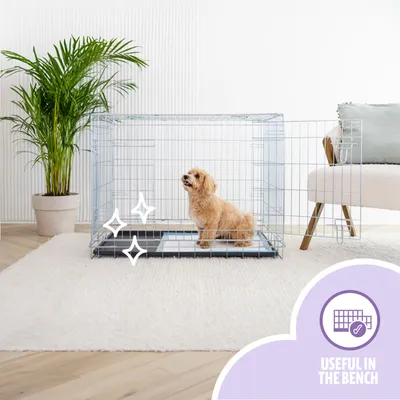 EasyPets Tapis éducateur – 250 pcs, chien & chiot, ultra absorbants