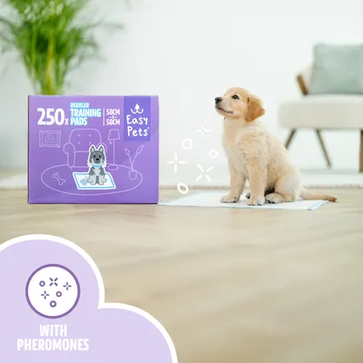 EasyPets Tapis éducateur – 250 pcs, chien & chiot, ultra absorbants