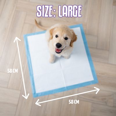 EasyPets Alèse Chien et Chiot - Tapis Éducateur 58x58 cm - 250 pcs