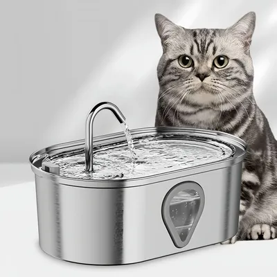 IntiMeg Fontaine à eau pour chats et chiens - 3.5 L