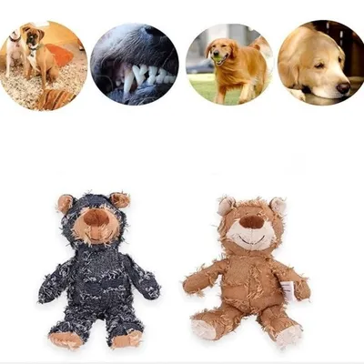 IntiMeg Jouet pour chien Tough Beggar Bear