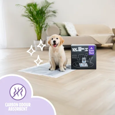EasyPets Alèse Charbon Chien et Chiot - Tapis Éducateur 58x58 cm - 105 pcs