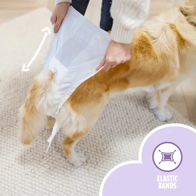 Easypets Couches pour Chiennes Teef 30 Pièces