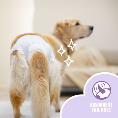 EasyPets Couche Chienne M/L - Chaleurs & Incontinence - 30 pcs