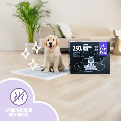 Easypets Tapis D'entraînement Puppy Carbon 250 pièces