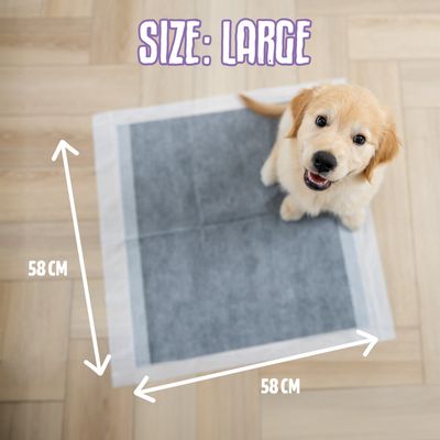 EasyPets Alèse Charbon Chien et Chiot - Tapis Éducateur 58x58 cm - 250 pcs