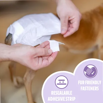 Easypets Couches pour Chiennes Teef 30 Pièces