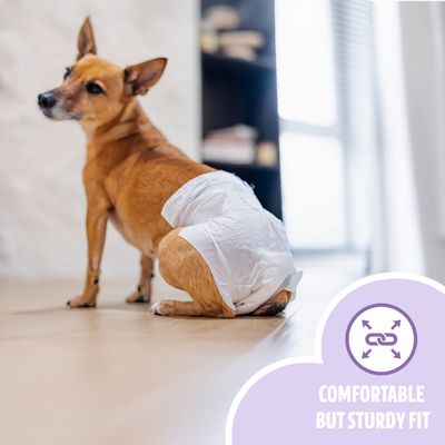 EasyPets Couche Chienne S/M - Chaleurs & Incontinence - 30 pcs