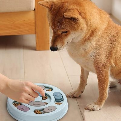 IntiMeg  Plateau et jouet anti-glouton pour chien