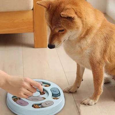 IntiMeg  Plateau et jouet anti-glouton pour chien