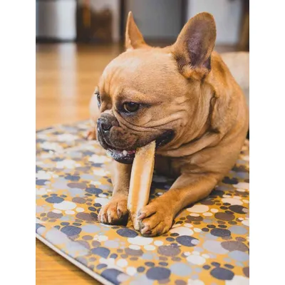 Truffe Délice Fromage de yak Fraise