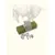 Truffe Délice Fromage de yak Menthe Truffe Délice Fromage de yak Menthe