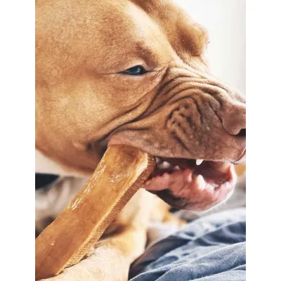 Truffe Délice Fromage de yak Citrouille