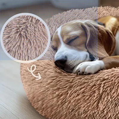 IntiMeg Lit pour petit chien