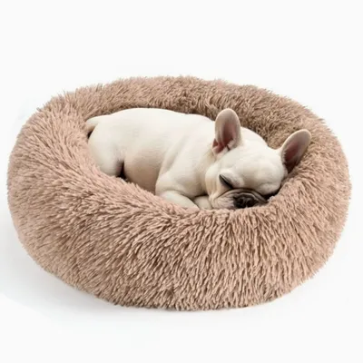 IntiMeg Lit pour petit chien