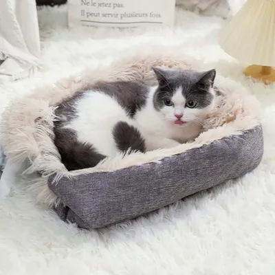 IntiMeg lit et tapis pour chat à double usage