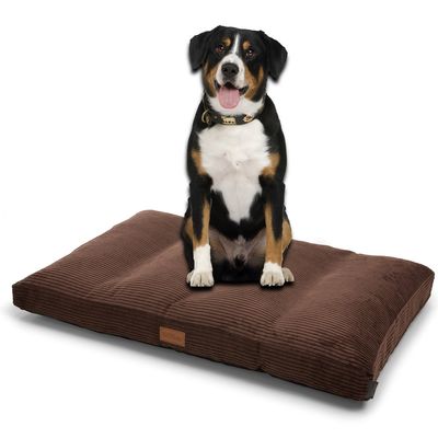 Woodek Design Matelas pour chien Teddy