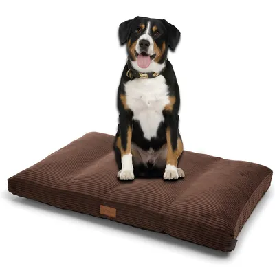 Woodek Design Matelas pour chien Teddy Woodek Design Matelas pour chien Teddy