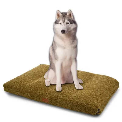 Woodek Design Matelas pour chien Teddy Woodek Design Matelas pour chien Teddy