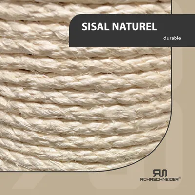 Rohrschneider Arbre à chat/tronc L tronc