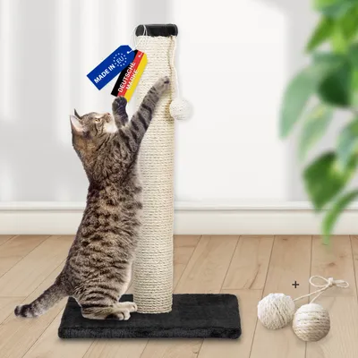 Rohrschneider Arbre à chat/tronc L tronc