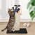 Rohrschneider Arbre à chat/tronc XL tronc Rohrschneider Arbre à chat/tronc XL tronc