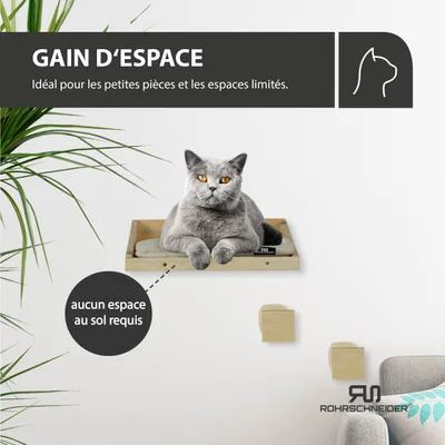 Katzenkletterwand Massiv natur + Kissen Deluxe Cord beige