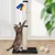 Rohrschneider Arbre à chat/tronc L tronc