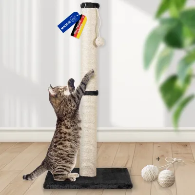 Rohrschneider Arbre à chat/tronc L tronc