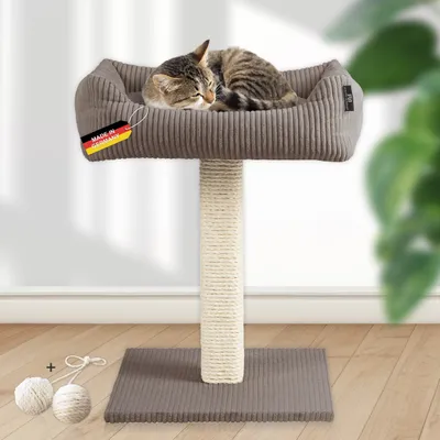 Katzenbaum mit Kuschelsofa/ starke Holme salbei + SpK