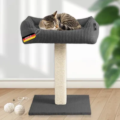 Katzenbaum mit Kuschelsofa/ starke Holme salbei + SpK