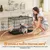 Yaheetech Cage pour Chien Robuste