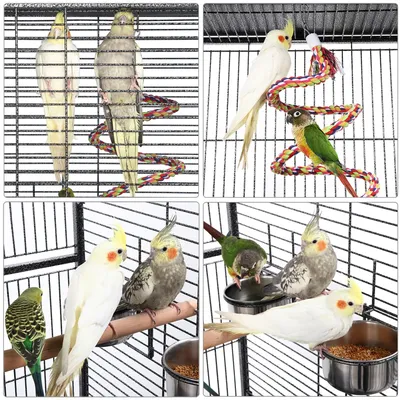 Vogelvoliere Vogelkäfig Papageienkäfig Zimmervoliere Vogelhaus Vogelbauer