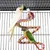 Yaheetech Grande Cage à Oiseaux Yaheetech Grande Cage à Oiseaux