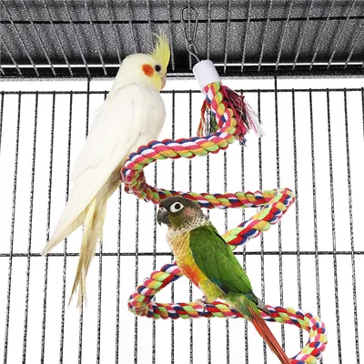 Yaheetech Grande Cage à Oiseaux Yaheetech Grande Cage à Oiseaux