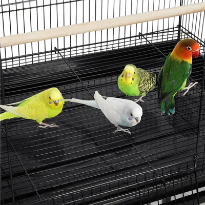 Yaheetech Cage à Oiseaux avec Support Noir