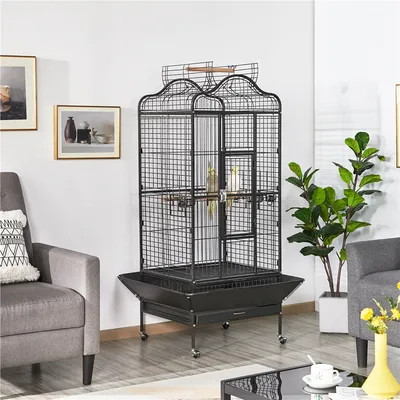 Cage Oiseaux Grande Voliere Interieur Cage Perroquet Avec Roulettes