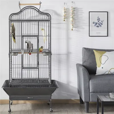 Cage Oiseaux Grande Voliere Interieur Cage Perroquet Avec Roulettes